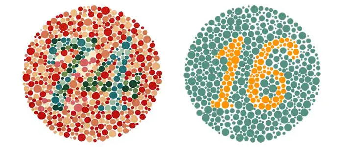 Our Edmonton Eye Exams - Colour Test: assessing for presence of colour blindness