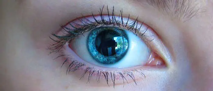 Our Edmonton Eye Exams - Eye Alignment: assessing for strabismus